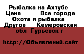 Рыбалка на Ахтубе › Цена ­ 500 - Все города Охота и рыбалка » Другое   . Кемеровская обл.,Гурьевск г.